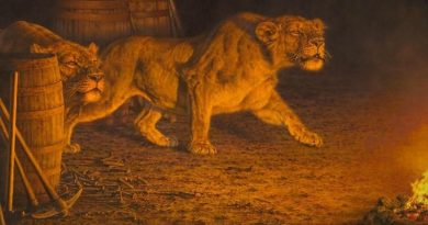 singa Tsavo pemakan manusia