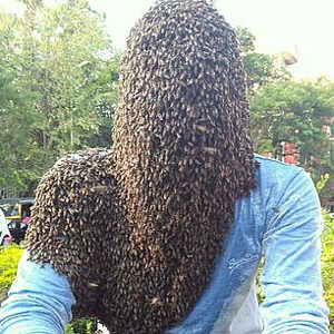 Heboh, Seorang Pria Menaklukkan Ribuan Lebah Ganas Di Wajahnya